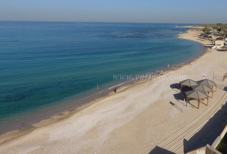  لليوم الثاني على التوالي - منع السباحة في شاطئ العجمي بسبب التلوّث